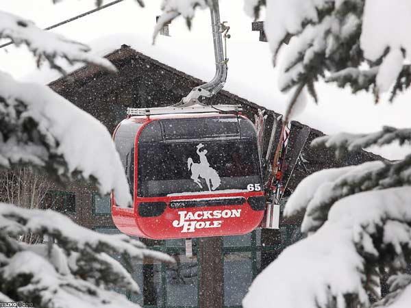 Jackson Hole Gondola In The Snow.