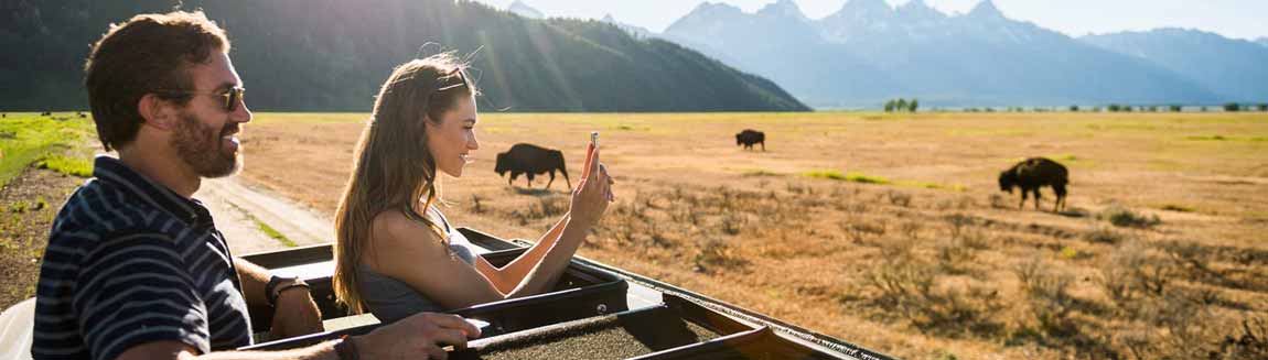 couple taking picture at bison from roof of car in teton park