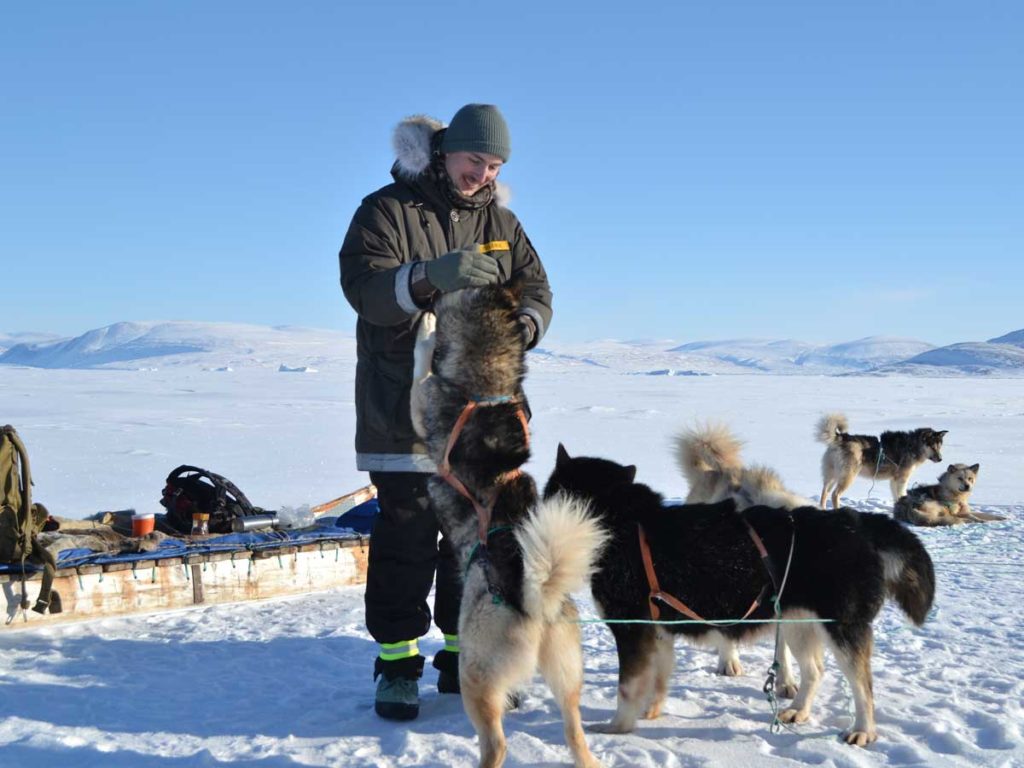 Dog sledding in Jackson Hole, WY