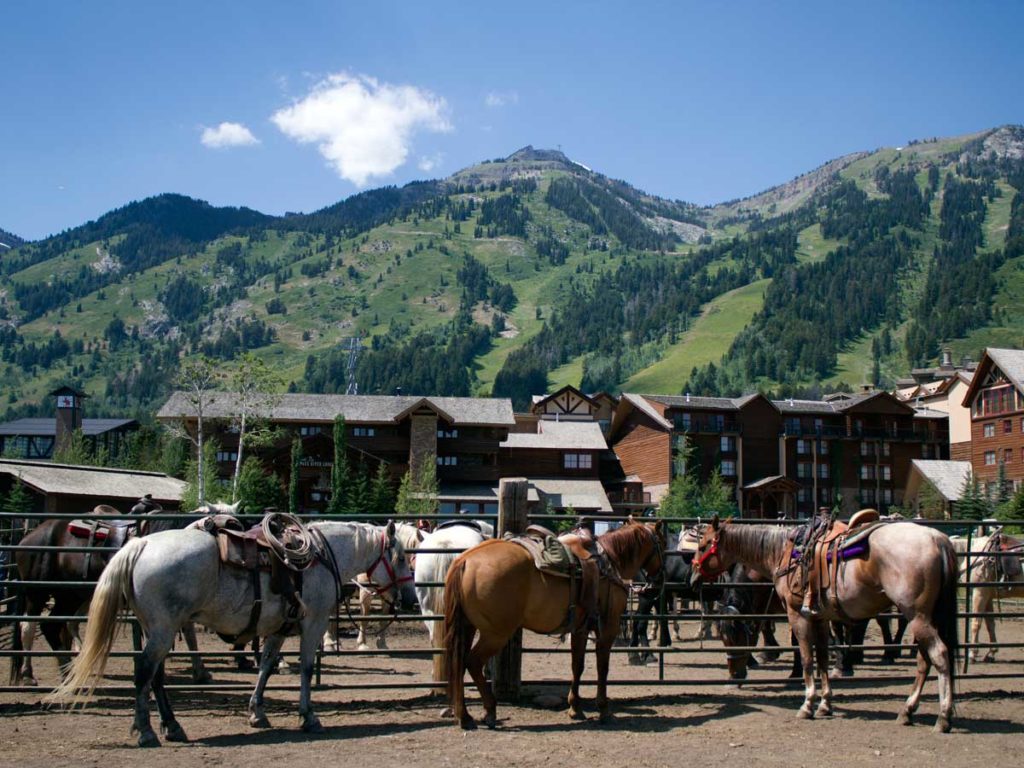 A horse ranch in Jackson Hole, WY