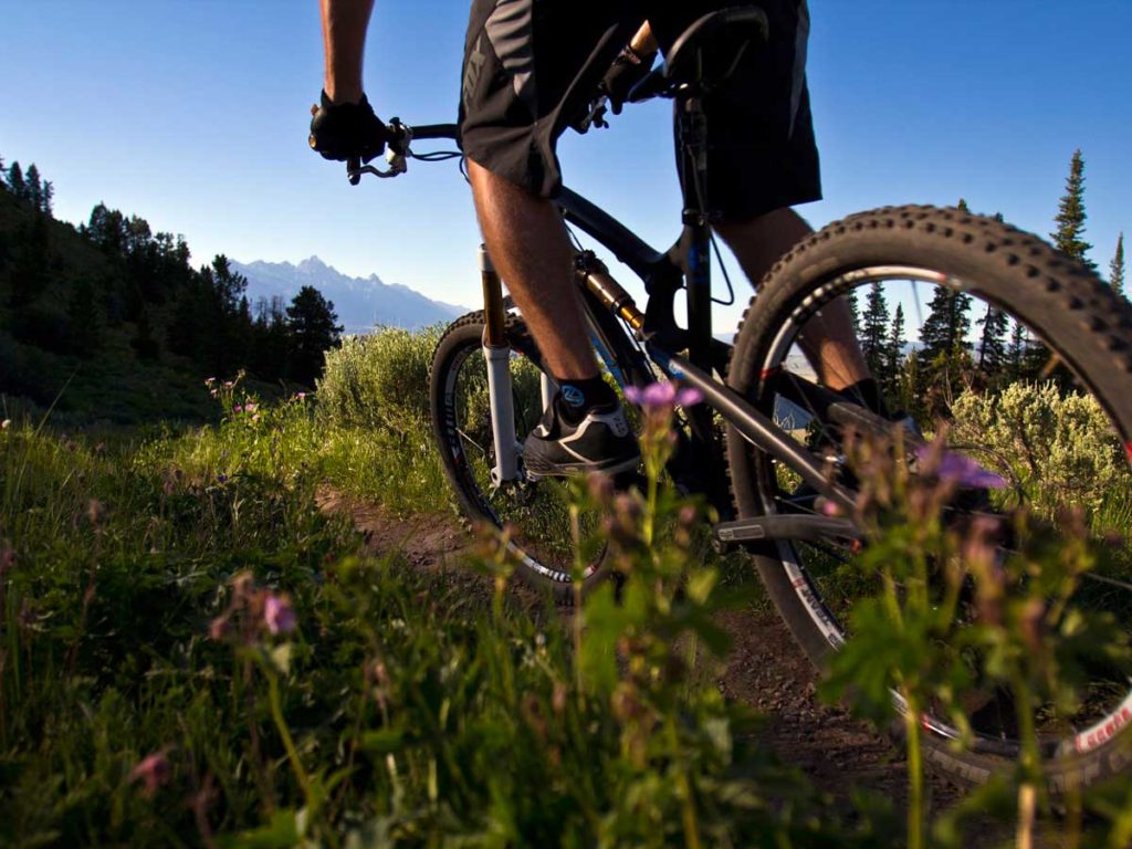 Mountain Biking in Jackson Hole, WY