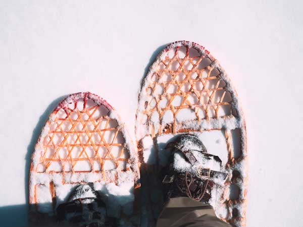 Snowshoes in the snow.