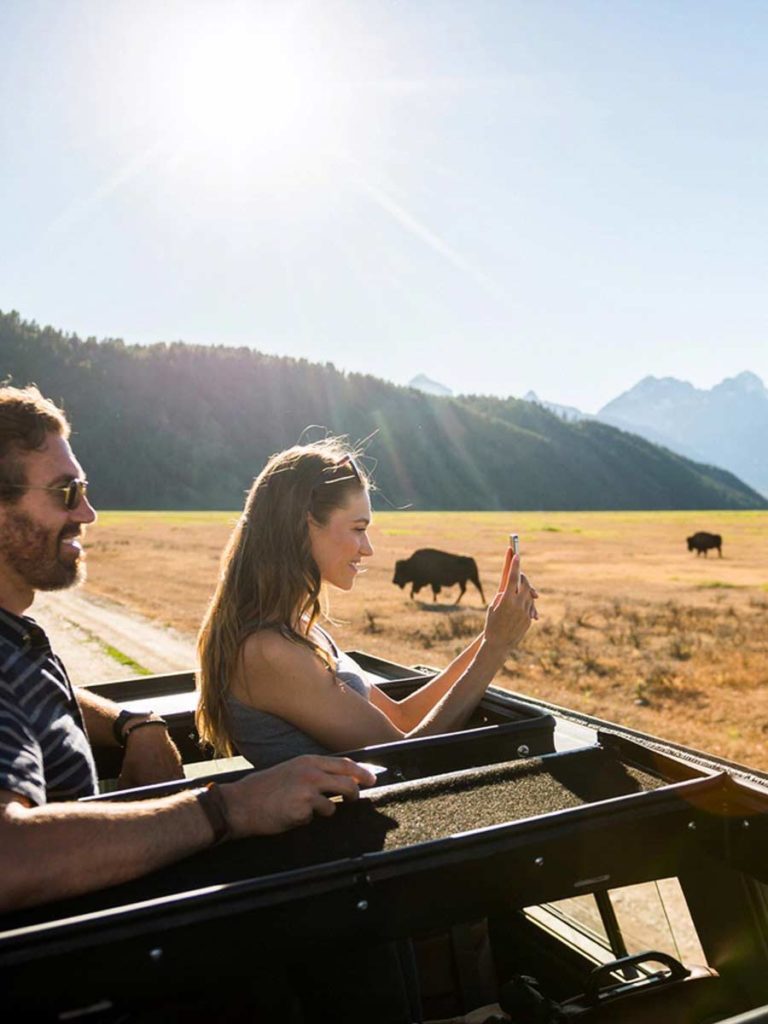 Couple watching Bison in Jackson Hole, WY