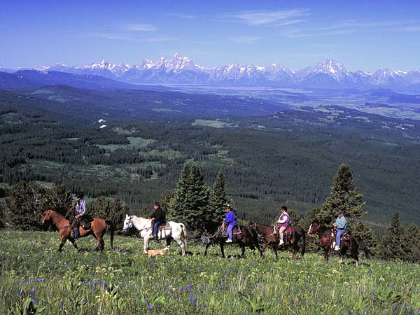 Horseback riding tour.