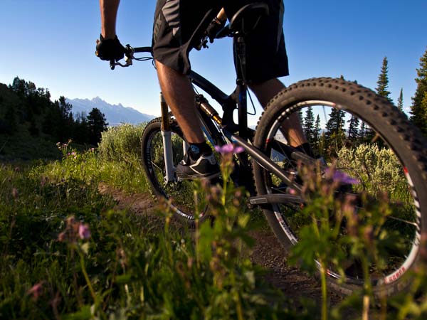 Mountain biking in the summer.