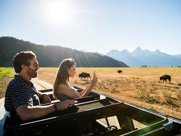 Couple on a wildlife safari.