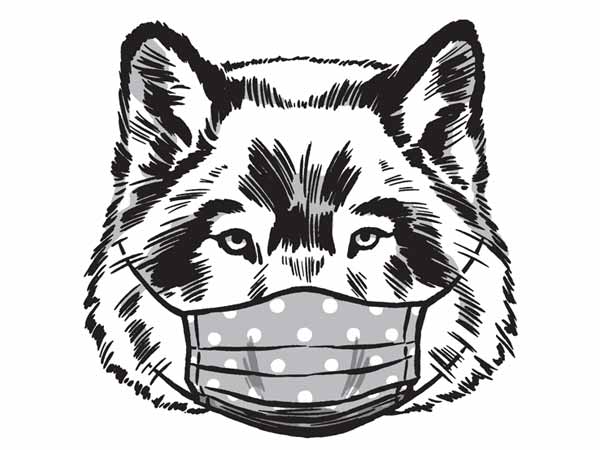 Bear With Mask