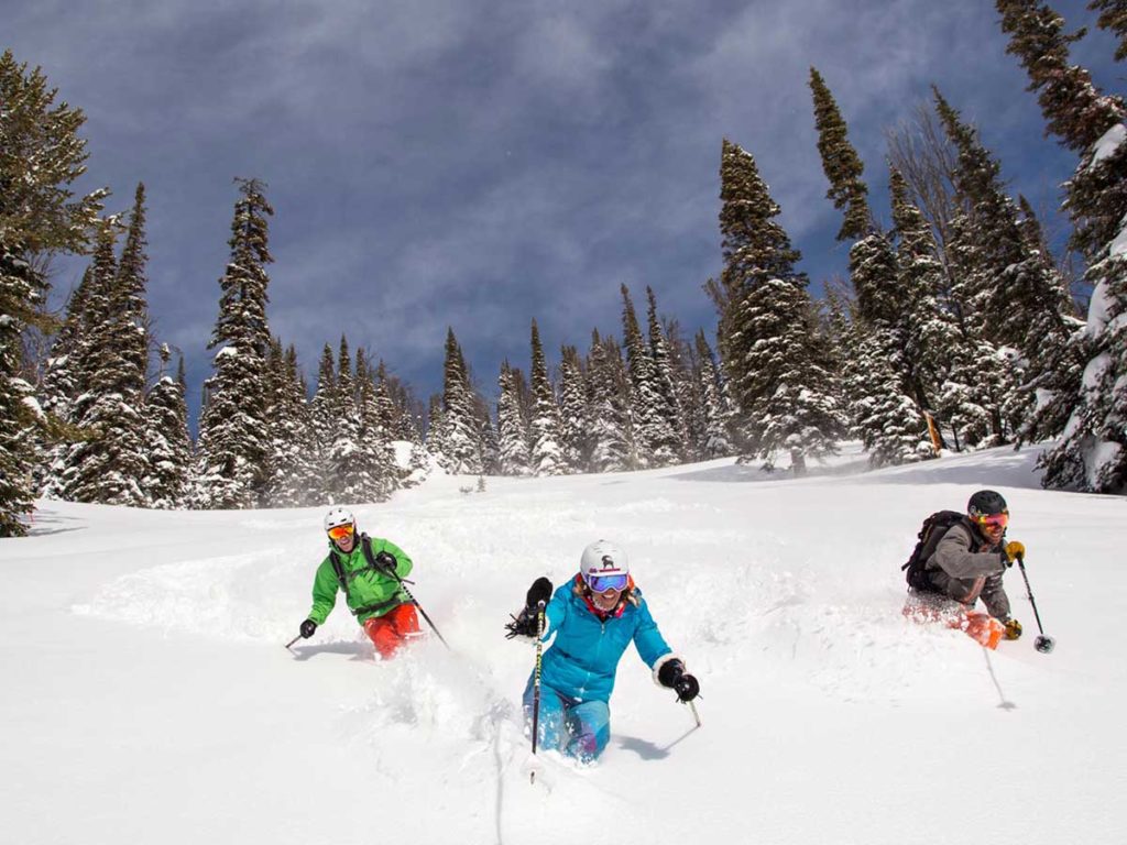 Three skiers in fresh powder.