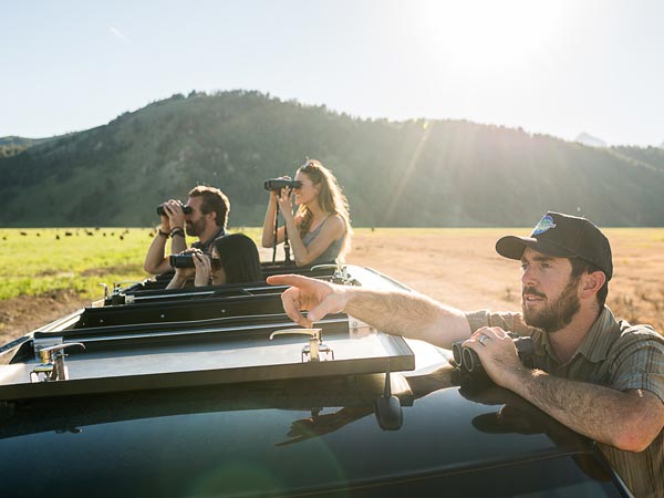 Wildlife Tour.