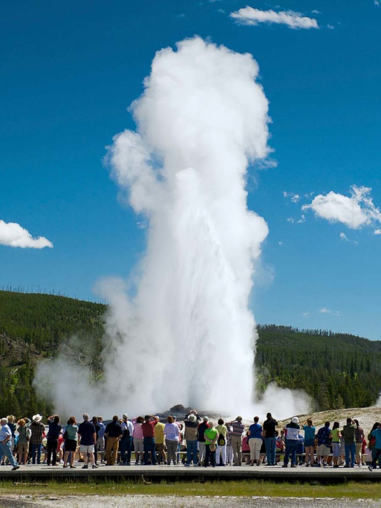 Old Faithful Geyser At Yellowstone National Park.